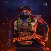 Pushpa 2 - The Rule (2024) Mp3 Songs